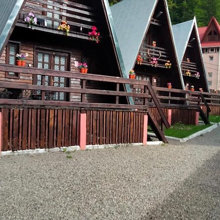 Cabane سِنايا المظهر الخارجي الصورة